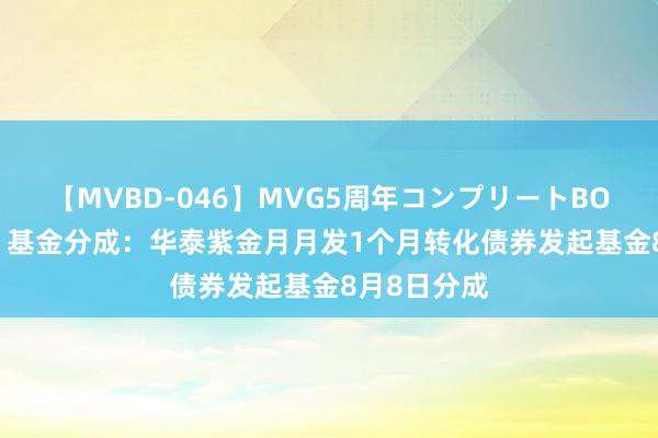 【MVBD-046】MVG5周年コンプリートBOX ゴールド 基金分成：华泰紫金月月发1个月转化债券发起基金8月8日分成