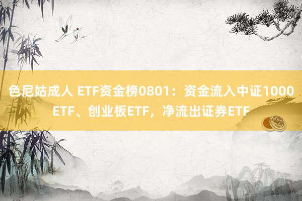 色尼姑成人 ETF资金榜0801：资金流入中证1000ETF、创业板ETF，净流出证券ETF