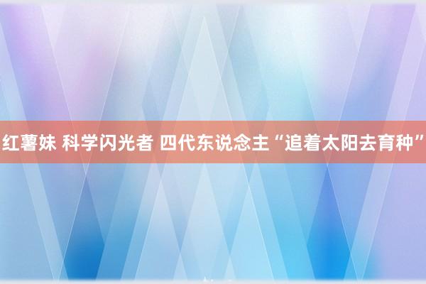 红薯妹 科学闪光者 四代东说念主“追着太阳去育种”