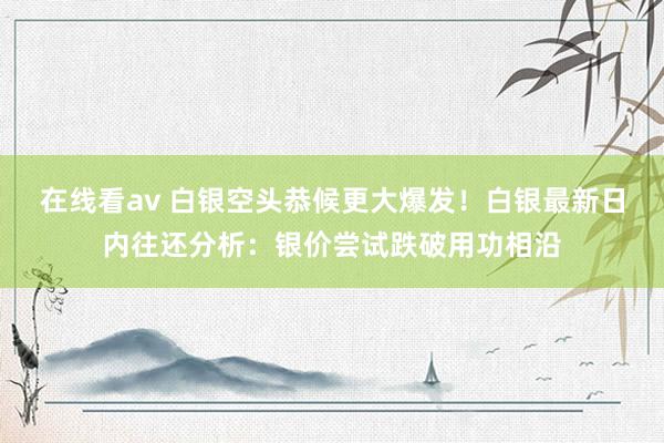 在线看av 白银空头恭候更大爆发！白银最新日内往还分析：银价尝试跌破用功相沿