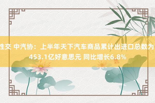 性交 中汽协：上半年天下汽车商品累计出进口总数为1453.1亿好意思元 同比增长6.8%