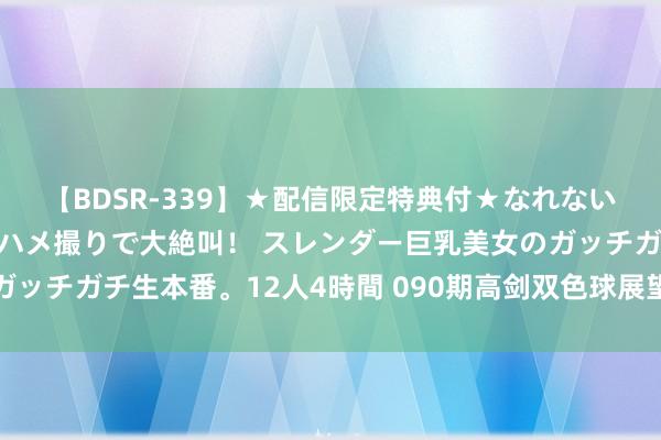 【BDSR-339】★配信限定特典付★なれない感じの新人ちゃんが初ハメ撮りで大絶叫！ スレンダー巨乳美女のガッチガチ生本番。12人4時間 090期高剑双色球展望奖号：重号分析