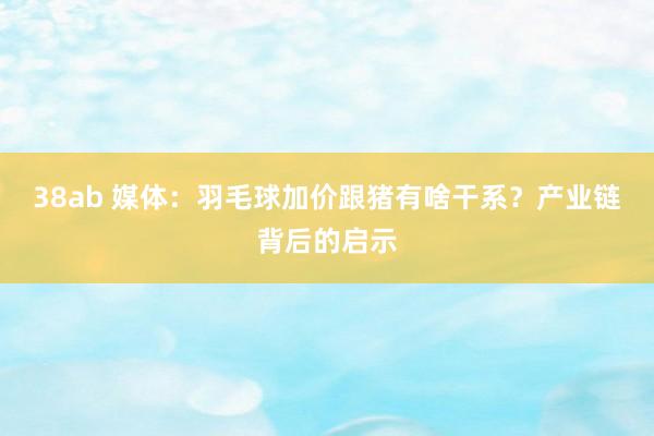 38ab 媒体：羽毛球加价跟猪有啥干系？产业链背后的启示