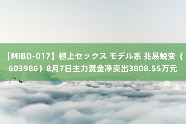 【MIBD-017】極上セックス モデル系 兆易蜕变（603986）8月7日主力资金净卖出3808.55万元