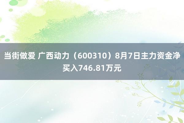 当街做爱 广西动力（600310）8月7日主力资金净买入746.81万元