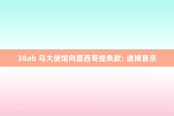 38ab 乌大使馆向墨西哥提条款: 逮捕普京