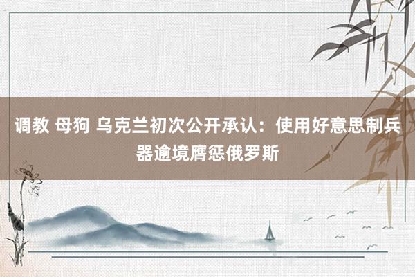 调教 母狗 乌克兰初次公开承认：使用好意思制兵器逾境膺惩俄罗斯