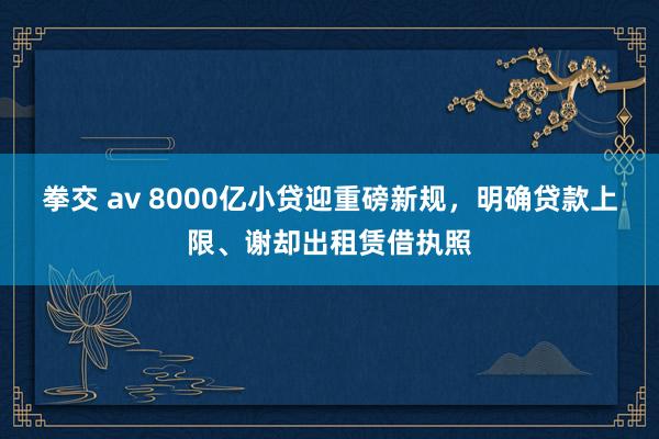 拳交 av 8000亿小贷迎重磅新规，明确贷款上限、谢却出租赁借执照