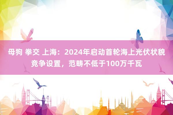 母狗 拳交 上海：2024年启动首轮海上光伏状貌竞争设置，范畴不低于100万千瓦