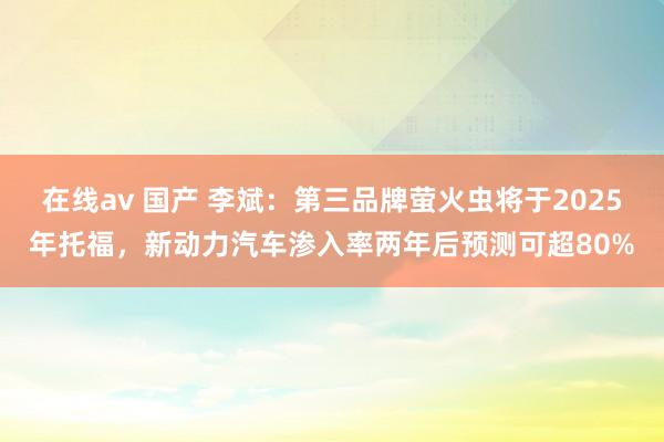 在线av 国产 李斌：第三品牌萤火虫将于2025年托福，新动力汽车渗入率两年后预测可超80%