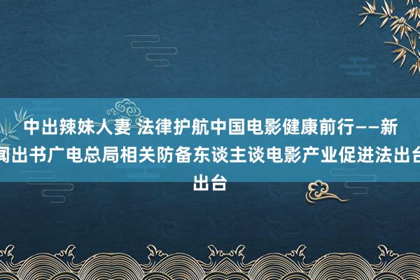 中出辣妹人妻 法律护航中国电影健康前行——新闻出书广电总局相关防备东谈主谈电影产业促进法出台