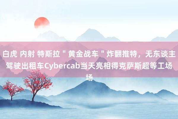 白虎 内射 特斯拉＂黄金战车＂炸翻推特，无东谈主驾驶出租车Cybercab当天亮相得克萨斯超等工场